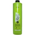 inoa oxidante mix 1+1 20v 1l